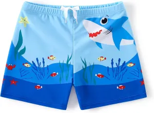 AMIYAN Boys Swim Trunks Bathing Bottom Suit Toddler Quick Dry Swim Shorts Beach Swimsuit for Boy