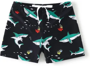 AMIYAN Boys Swim Trunks Bathing Bottom Suit Toddler Quick Dry Swim Shorts Beach Swimsuit for Boy