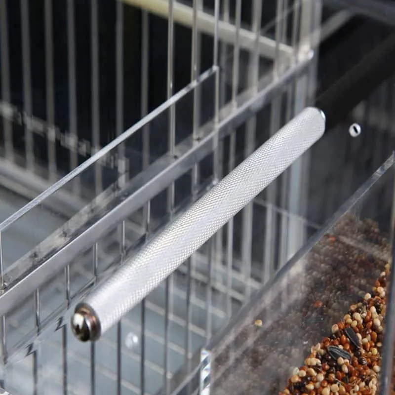 Bird's Trasparent Cube Feeder