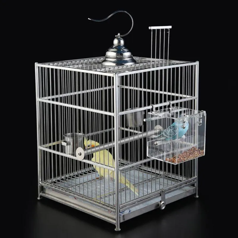 Bird's Trasparent Cube Feeder