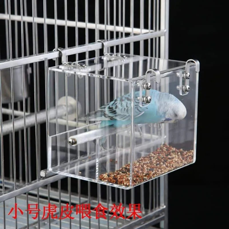 Bird's Trasparent Cube Feeder