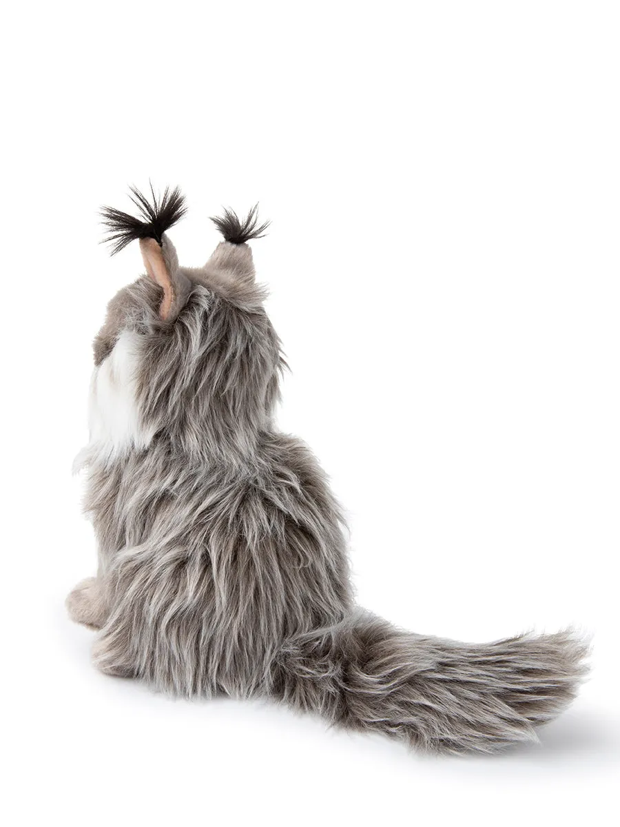 B.T. Chaps - Nancy the Norwegian Forest Cat