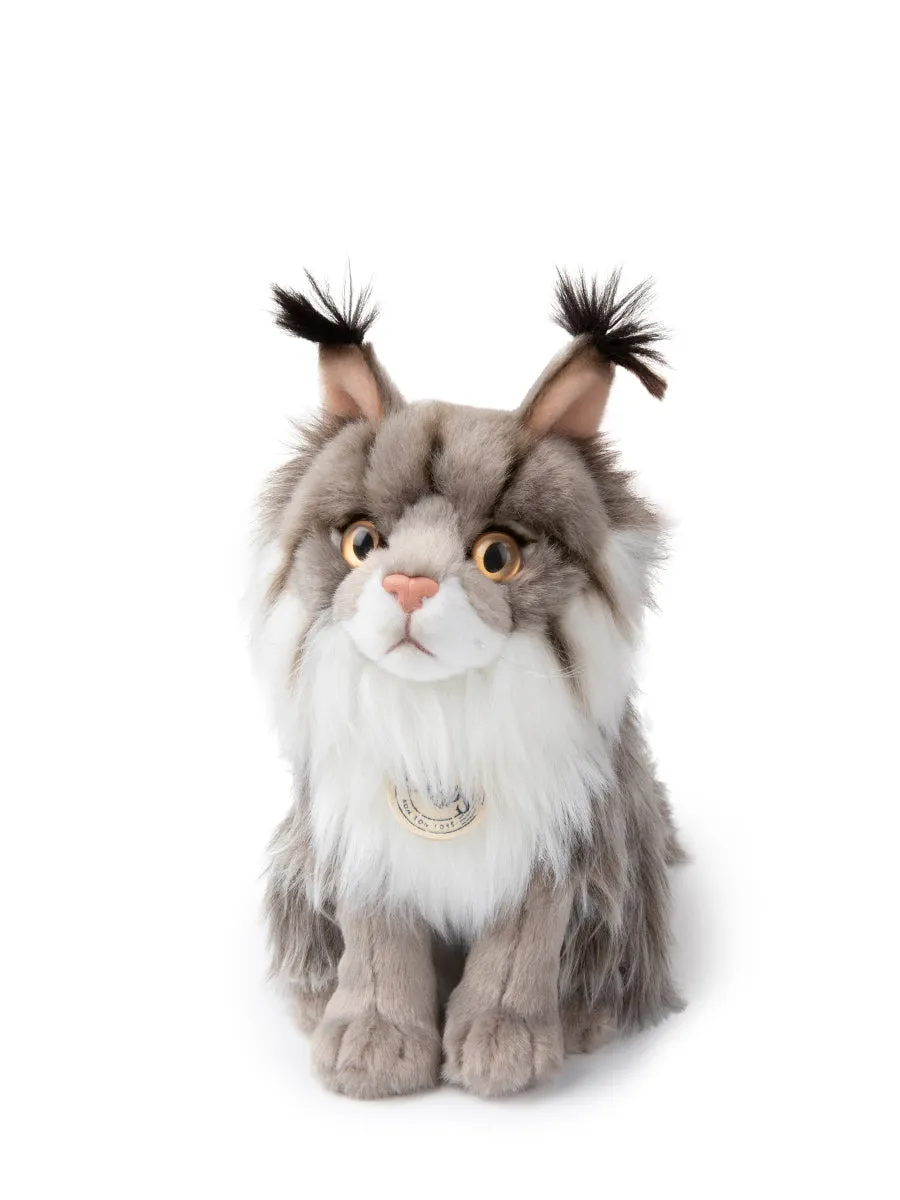 B.T. Chaps - Nancy the Norwegian Forest Cat