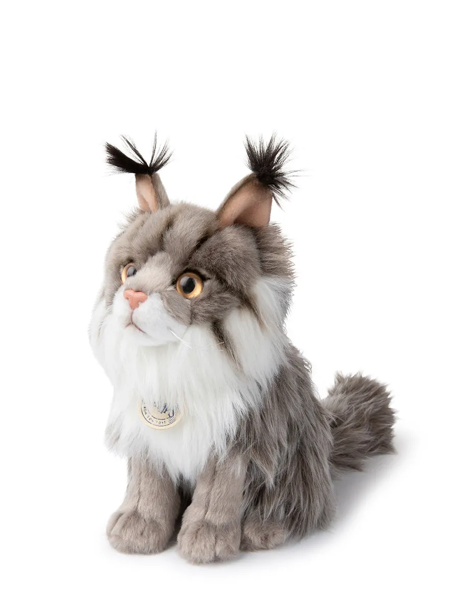 B.T. Chaps - Nancy the Norwegian Forest Cat