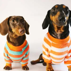 Dog Cat Pet Clothes Casual Sweatshirt