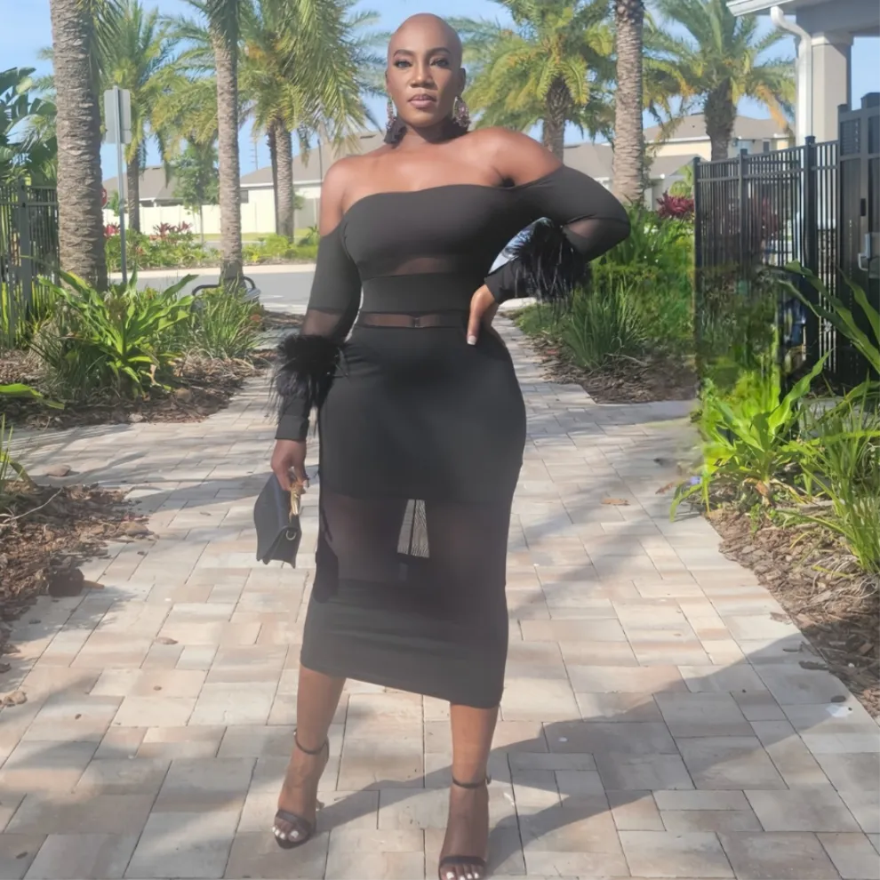 Milani Feathered Dress