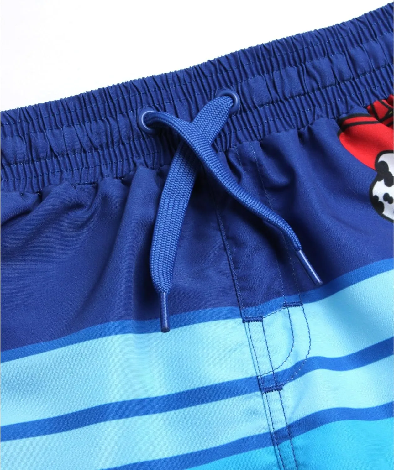 Nickelodeon Boys Swim Trunks - Paw Patrol Chase Marshall Rubble TMNT UPF 50  Quick Dry Boys Swim Shorts for Toddler & Big Kid