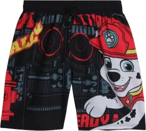 Nickelodeon Boys Swim Trunks - Paw Patrol Chase Marshall Rubble TMNT UPF 50  Quick Dry Boys Swim Shorts for Toddler & Big Kid
