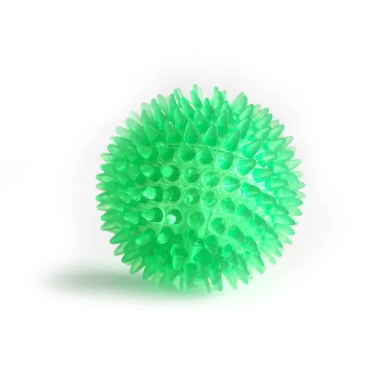 Pet Dog Toys
