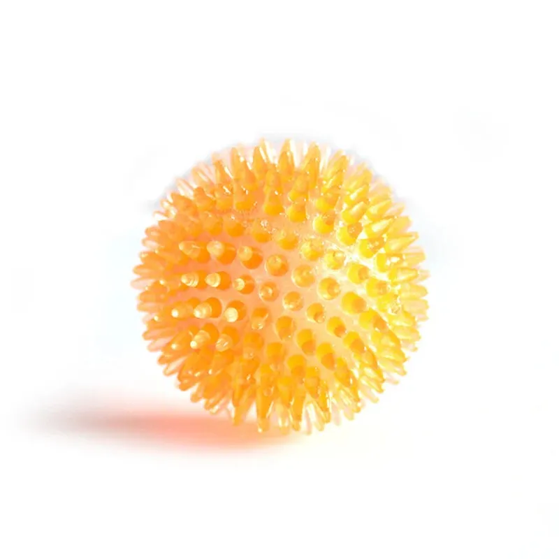 Pet Dog Toys