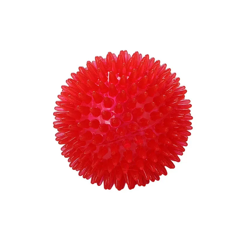 Pet Dog Toys