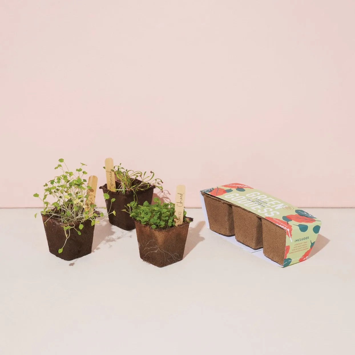 Seed Starter Trio (Green Goddess)