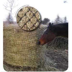 Showmaster Round Bale Poly Slow Feeder Haynet