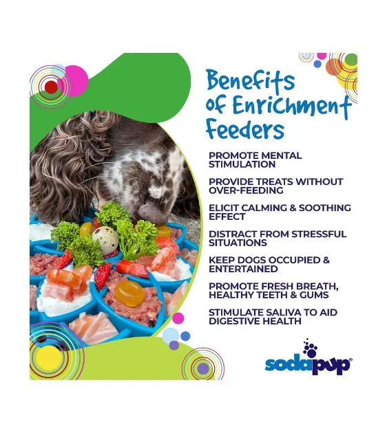 SodaPup Enrichment Feeding Tray For Dogs (Pink Mandala)