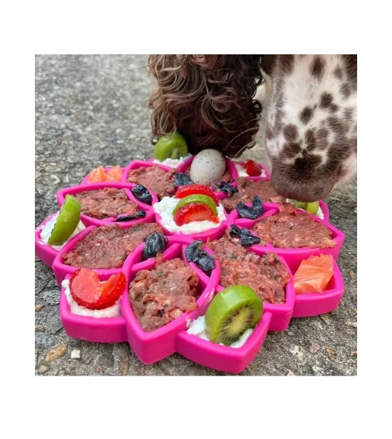 SodaPup Enrichment Feeding Tray For Dogs (Pink Mandala)