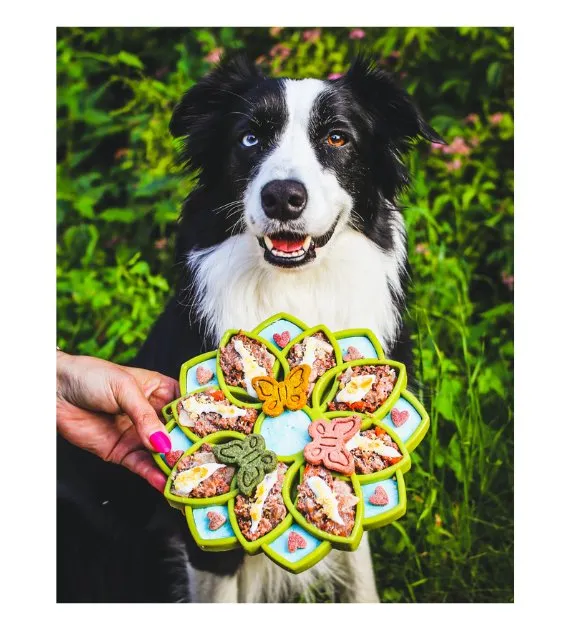 SodaPup Enrichment Feeding Tray For Dogs (Pink Mandala)