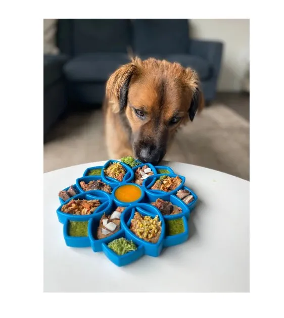 SodaPup Enrichment Feeding Tray For Dogs (Pink Mandala)