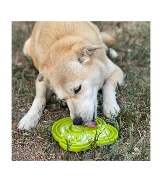 SodaPup Enrichment Feeding Tray For Dogs (Purple Water Frog)
