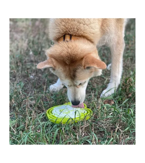 SodaPup Enrichment Feeding Tray For Dogs (Purple Water Frog)