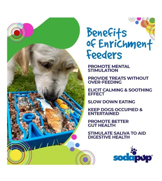SodaPup Enrichment Feeding Tray For Dogs (Square / Blue Waiting Dogs)