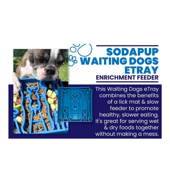 SodaPup Enrichment Feeding Tray For Dogs (Square / Blue Waiting Dogs)